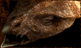 Image: Dinosaur head in death trap.