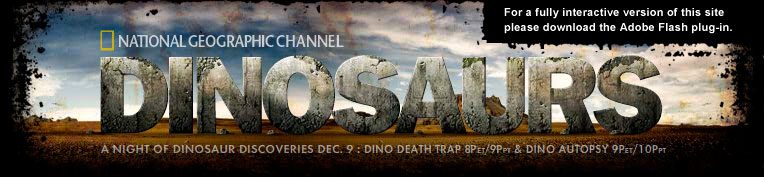 National Geographic Channel Dinosaurs. A Night of Dinosaur Discoveries. Dino Death Trap, Dino Autopsy. For a fully interactive version of this site please download the Adobe Flash plug-in.